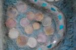 Shell and Stone Designs 3
