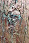 Tree Bark magic 3