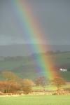 Rainbow 2